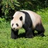 berlinzoo9